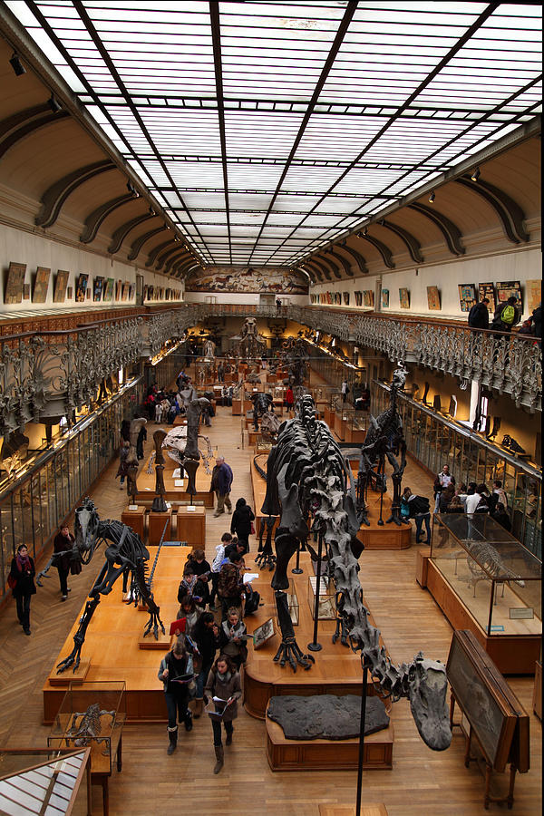 Paris Photograph - National Museum of Natural History - Paris France - 011326 by DC Photographer