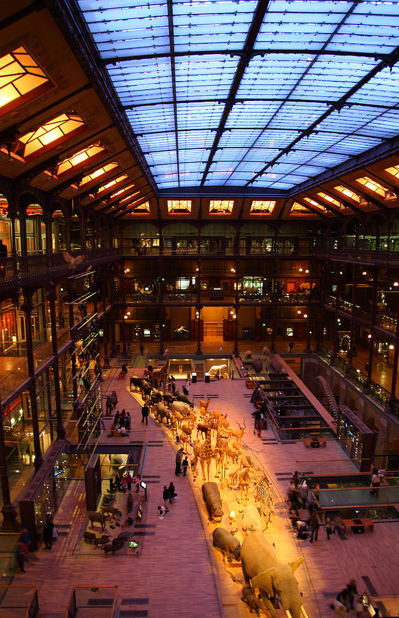 Paris Photograph - National Museum of Natural History - Paris France - 011346 by DC Photographer