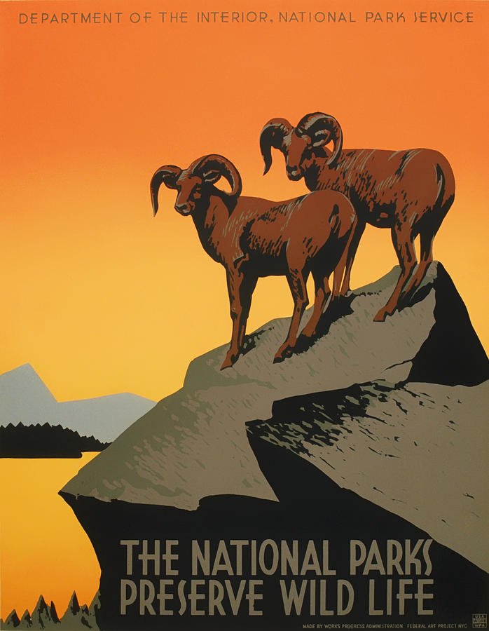 Vintage Drawing - National Parks Preserve Wildlife Vintage Poster 1938 by Mountain Dreams