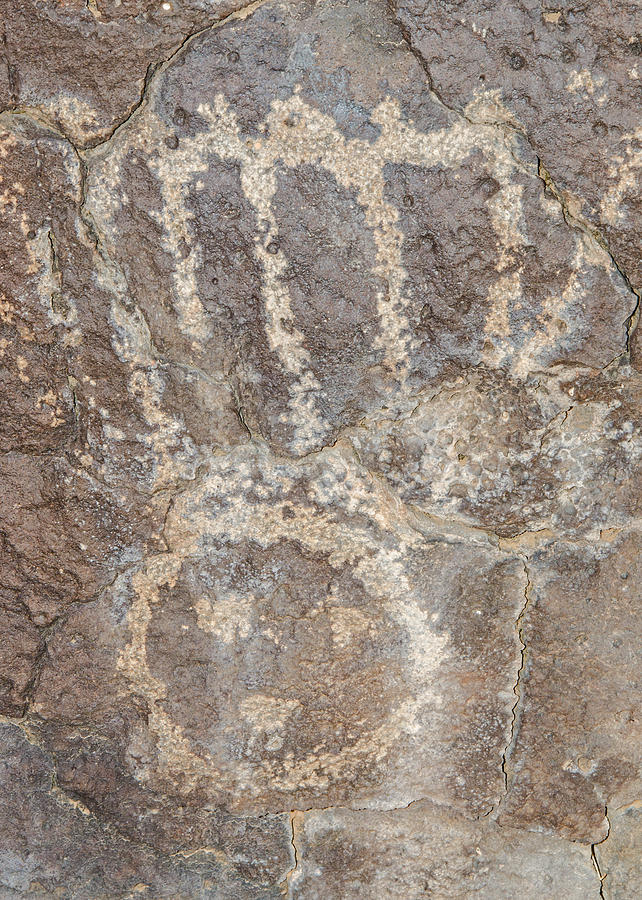 Native American Petroglyph Photograph by Millard H. Sharp