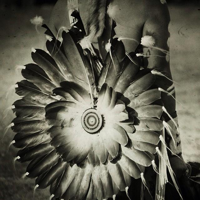 Feather Photograph - #native #american #powwow #wacipi by Hermes Fine Art
