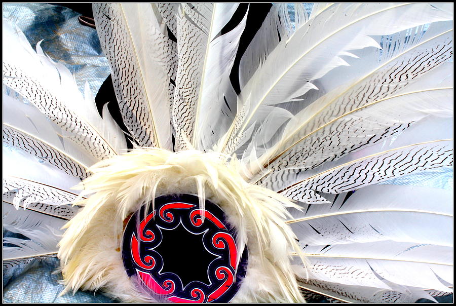 Feather Photograph - Native American White Feathers Headdress by Dora Sofia Caputo