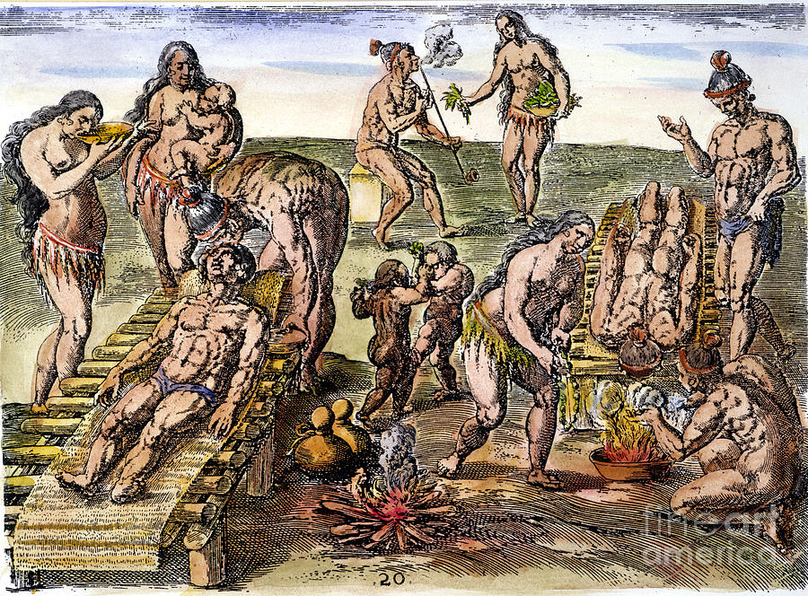 Native Americans Disease Drawing by Granger
