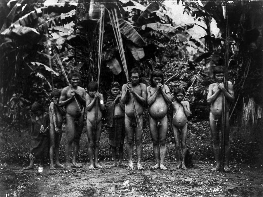 20th Century Photograph - Native Brazilians by Granger 