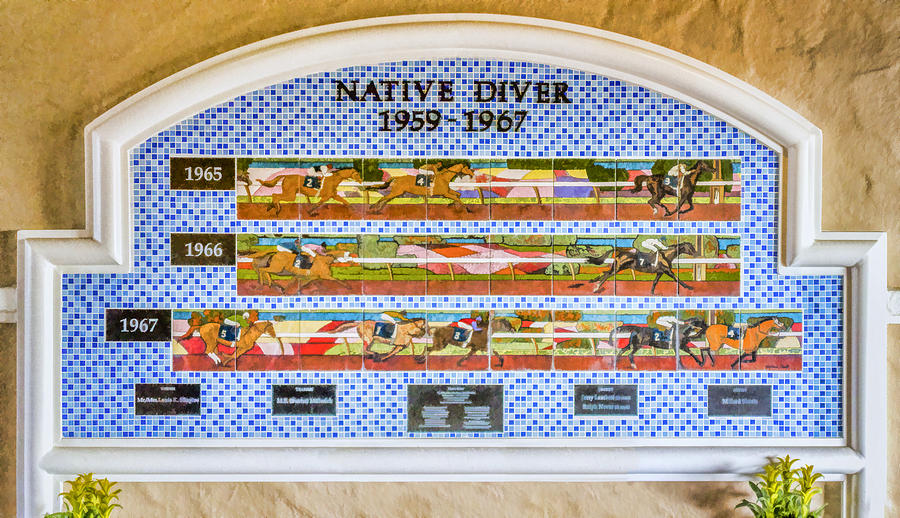 Native Diver Mural Digital Art by Photographic Art by Russel Ray Photos
