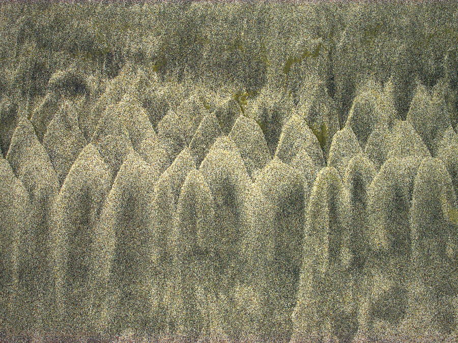 Natural Abstract In The Sand Three Photograph by Joyce Dickens