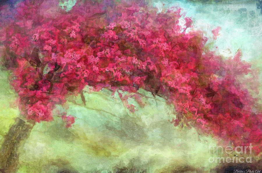 Natural Arch Cherry Tree - Digital Paint II Photograph by Debbie Portwood