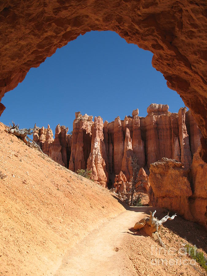 Bryce Canyon National Park Photograph - Natural Archway - Bryce Canyon by Christiane Schulze Art And Photography