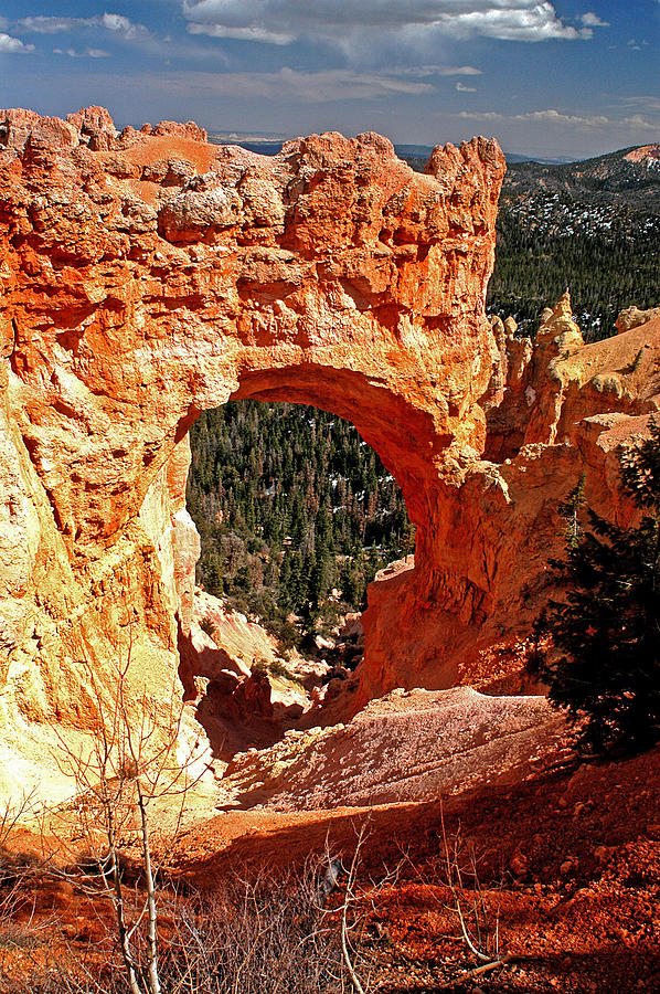 Natural Archway Bryce Canyon Utah Photograph by A Macarthur Gurmankin