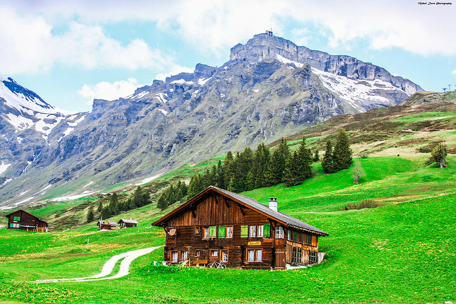 Natural Beauty - Switzerland Photograph by Mehul Dave