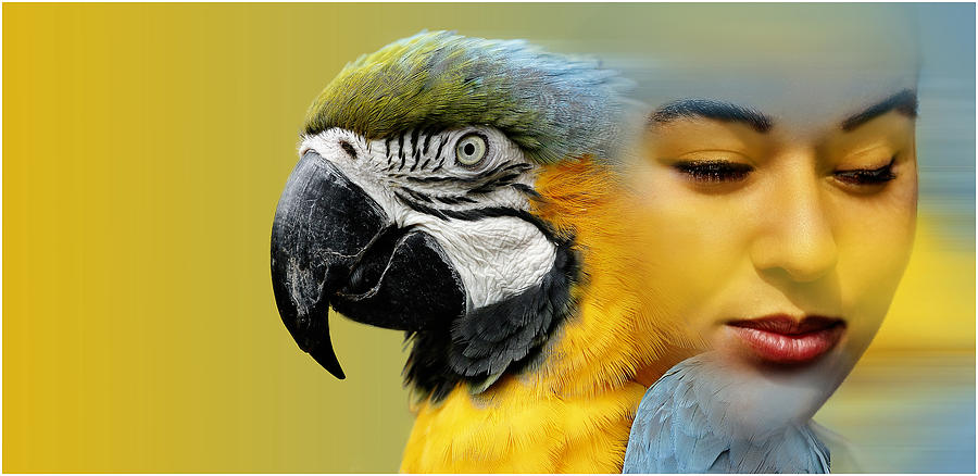 Parrot Photograph - Natural Beauty by John Fotheringham