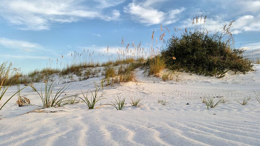 Natural Beauty of Destin Photograph by JC Findley