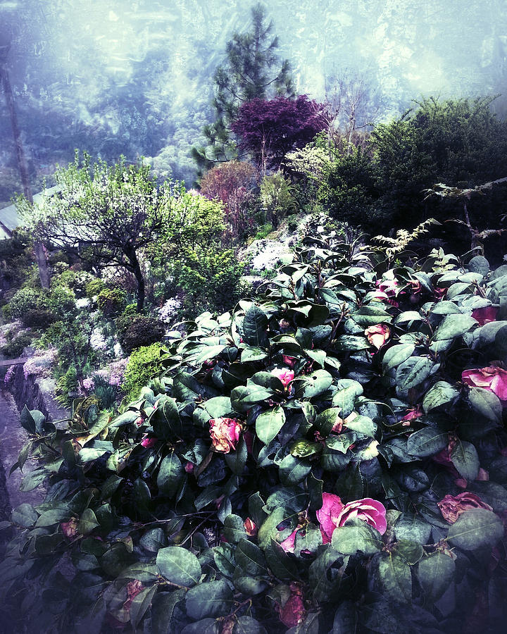 Secret Garden #2 Photograph by HweeYen Ong