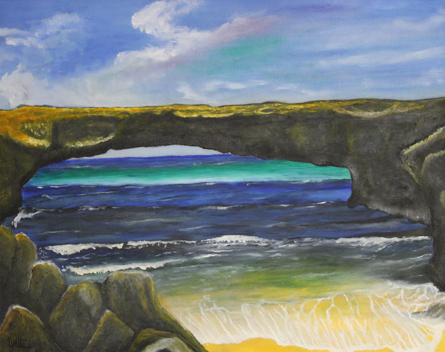 Natural Bridge Aruba Painting By Donald W White