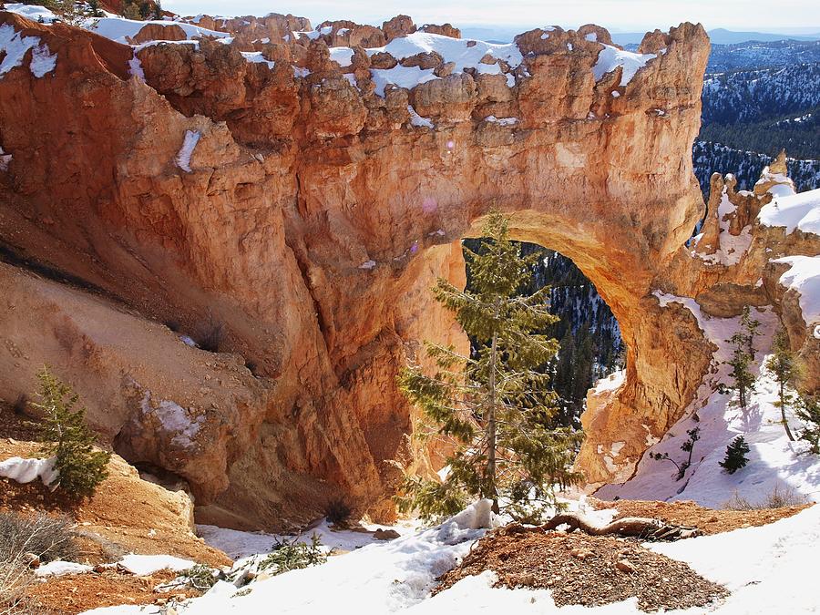 Winter Photograph - Natural Bridge at Bryce by Martin Micale