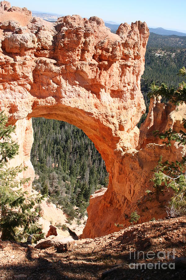 Natural Bridge  Bryce Canyon Photograph by Christiane Schulze Art And Photography
