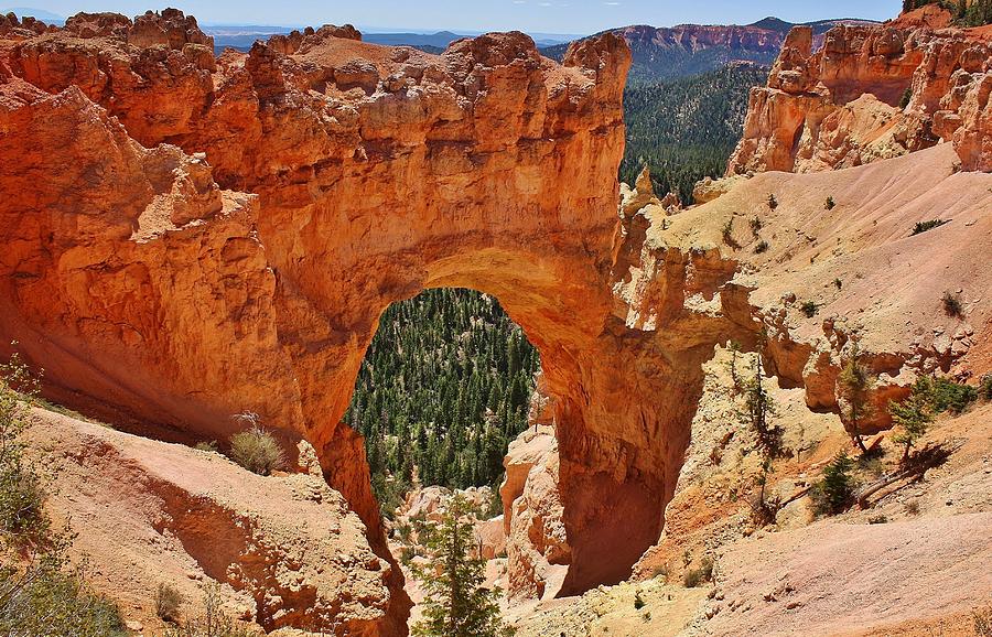 Natural Bridge in Bryce Canyon Photograph by Bruce Bley