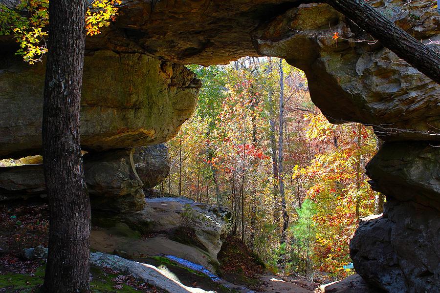 Natural Bridge in Fall Photograph by Kevin Wheeler