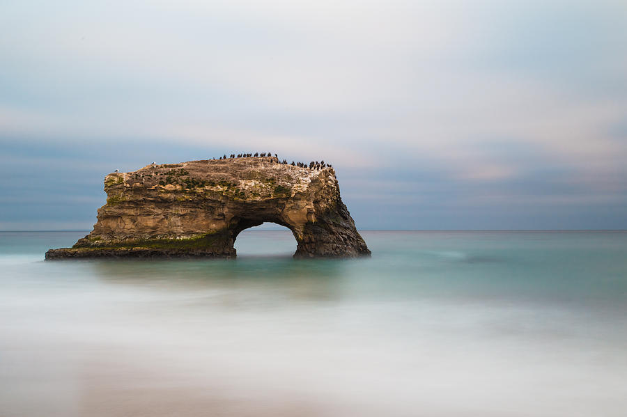 Natural Bridges State Beach  Photograph by Lee Harland