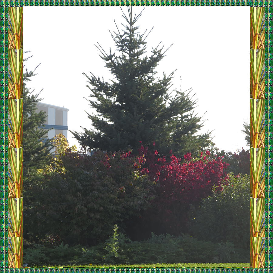 Natural Canvas Red Beauties And Christmas Tree Clicks By Navinjoshi Mixed Media