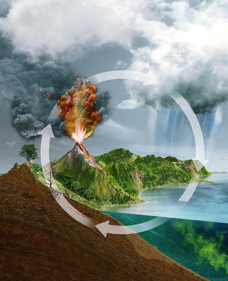 Natural Carbon Cycle Photograph by Claus Lunau/science Photo Library