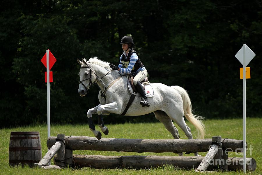 Natural Eventers Photograph by Janice Byer