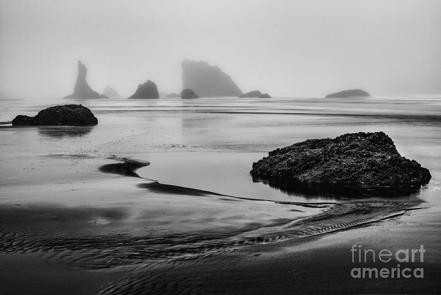 Foggy Coast Photograph by Gene Garnace