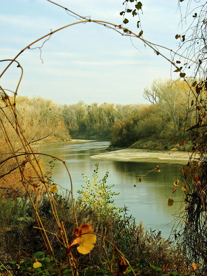 Natural Framing Sacramento River  Photograph by Pamela Patch