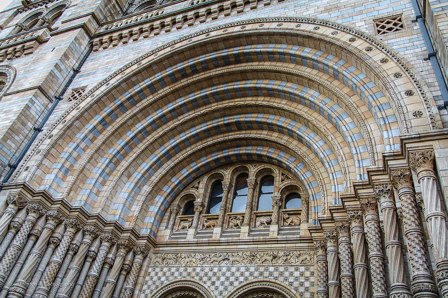 London Photograph - Natural History Arches by Ross Henton