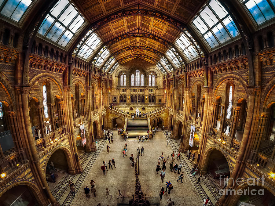 Natural History Museum - Central Hall Photograph by Mark Carnaby Natural History Museum - Central Hall Photograph by Mark Carnaby