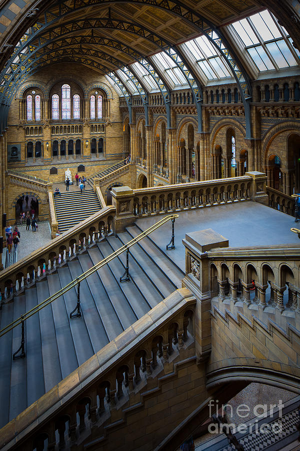 Natural History Museum Photograph by Inge Johnsson