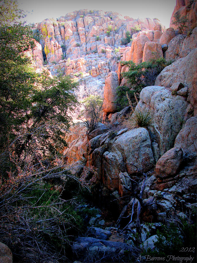 Natural Light on the Canyon Walls Photograph by Aaron Burrows
