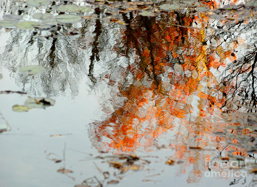 Fall Photograph - Natural Paint Daubs by Aimelle Ml