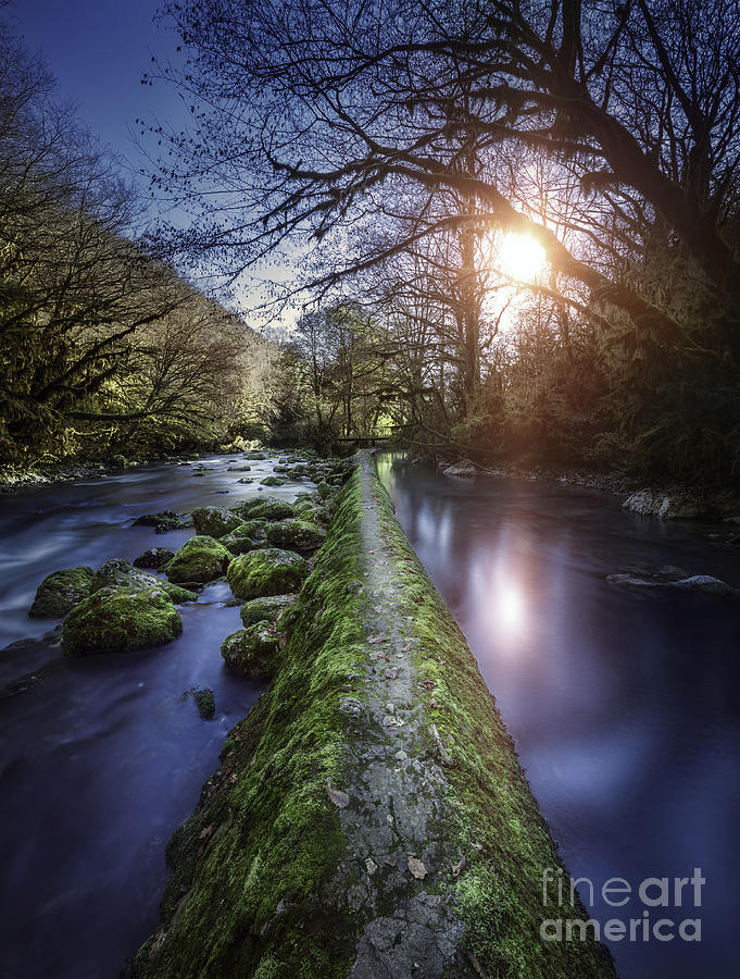 Sunset Photograph - Natural Path Between Two Streams by Evgeny Kuklev