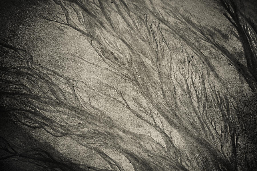 Natural Patterns 1. Goan Sand Photograph by Jenny Rainbow