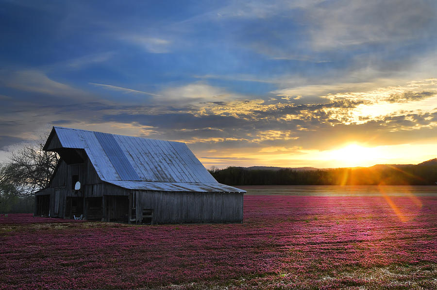 Sunset Photograph - Natural red White Blue Barn  Landscape by Randall Branham