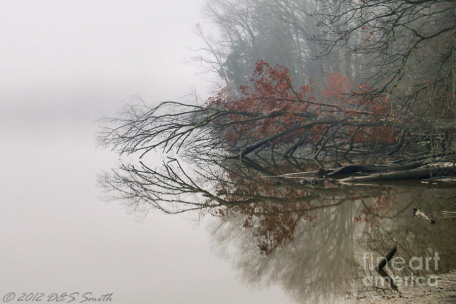 Natural Reflection Photograph by Susan Smith
