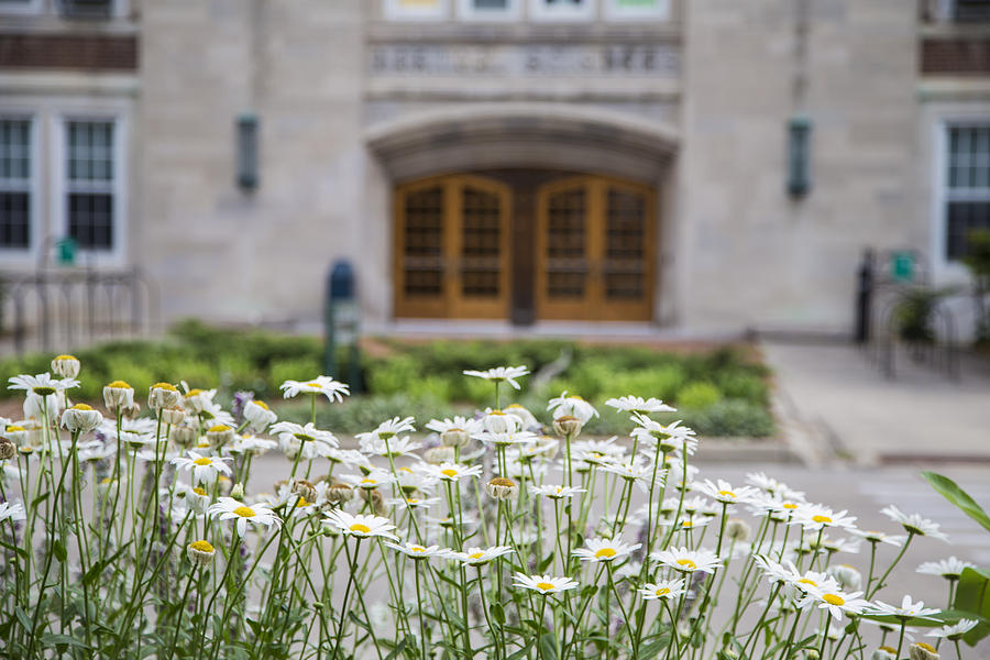 Natural Science Building and Flowers Photograph by John McGraw