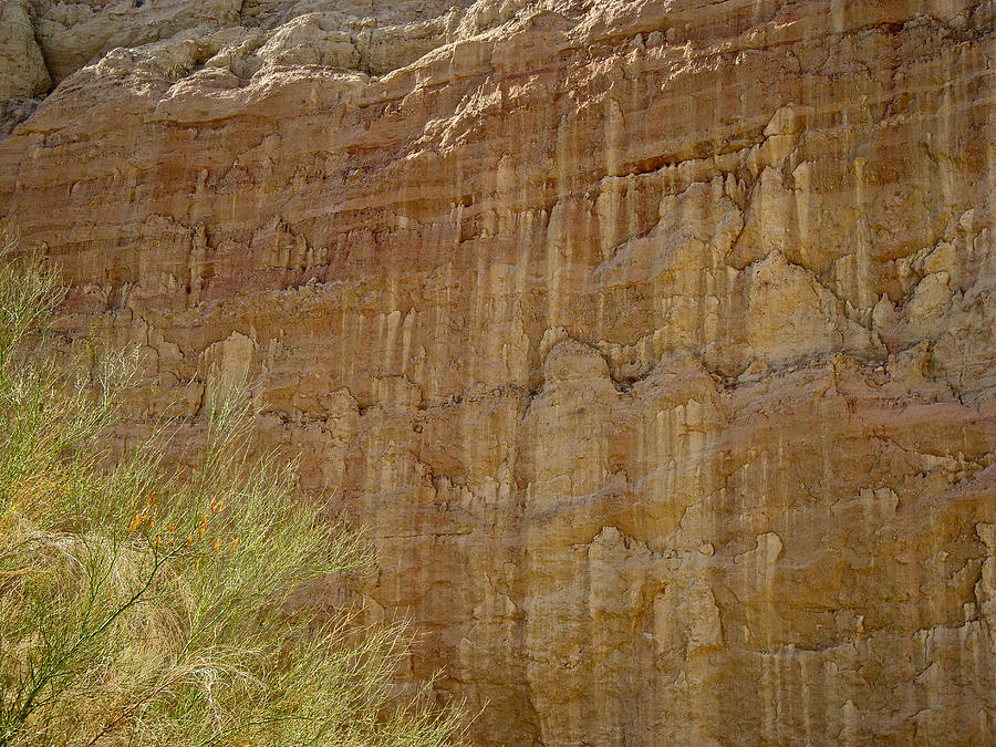 Natural Sculpting 1 on Walls of Big Painted Canyon Trail in Mecca Hills ...