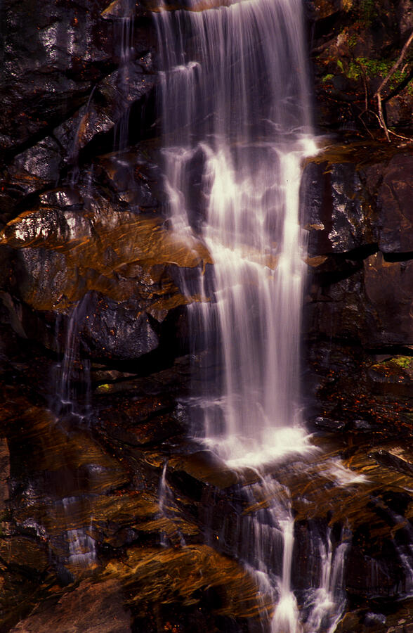 Natural Shower Photograph by Paul W Faust -  Impressions of Light