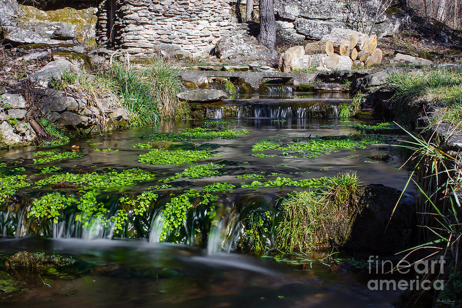 Natural Spring Photograph by Jennifer White