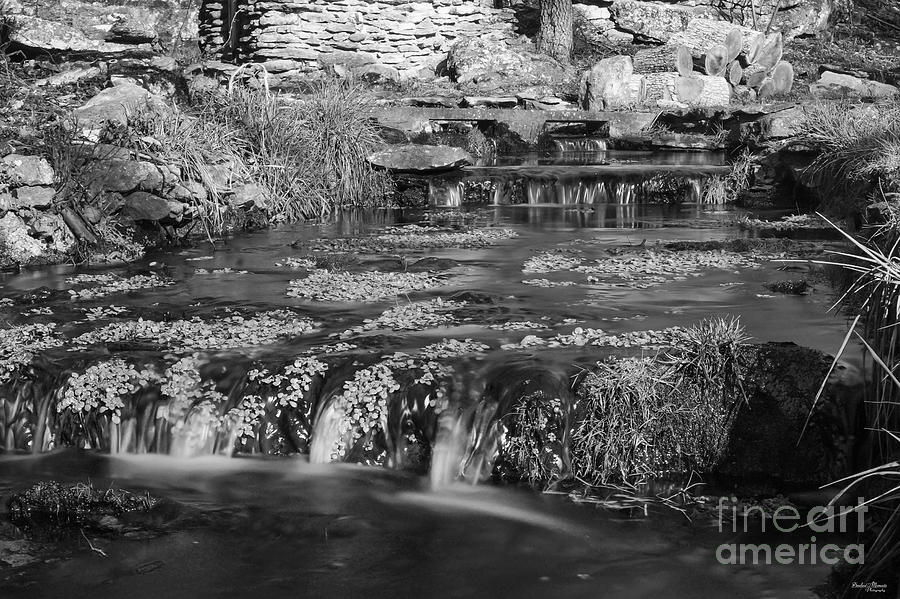Waterfall Photograph - Natural Spring made Creek by Jennifer White
