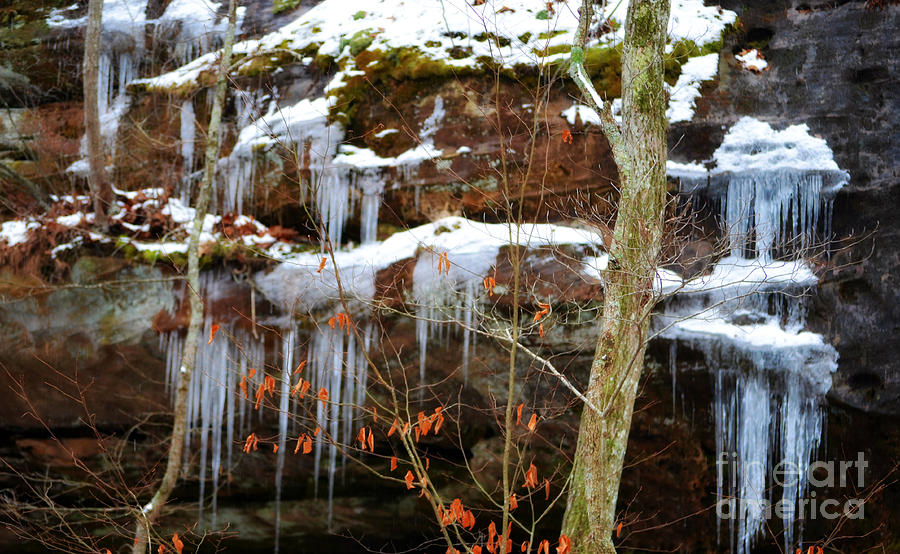 Natural Spring Waterfall Frozen in Time Photograph by Peggy Franz