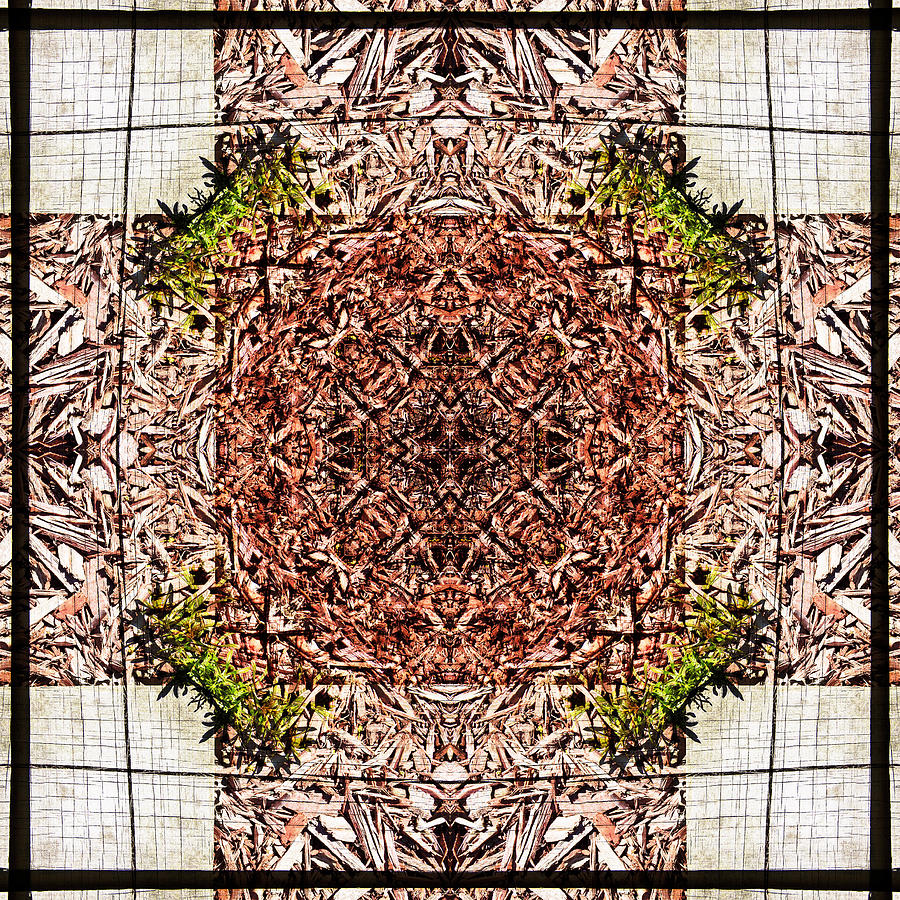 Natural Square Kaleidoscope Photograph