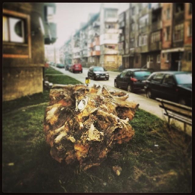 Vsco Photograph - Natural Urban Sculpture #petrila by Ocsike Szedlacsek