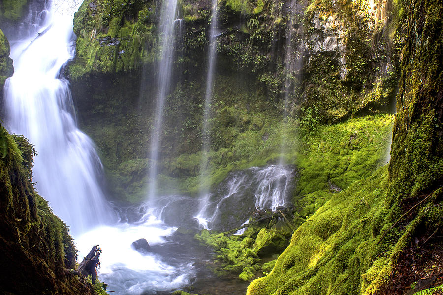 Natural Wonder Photograph by Calazone's Flics | Fine Art America