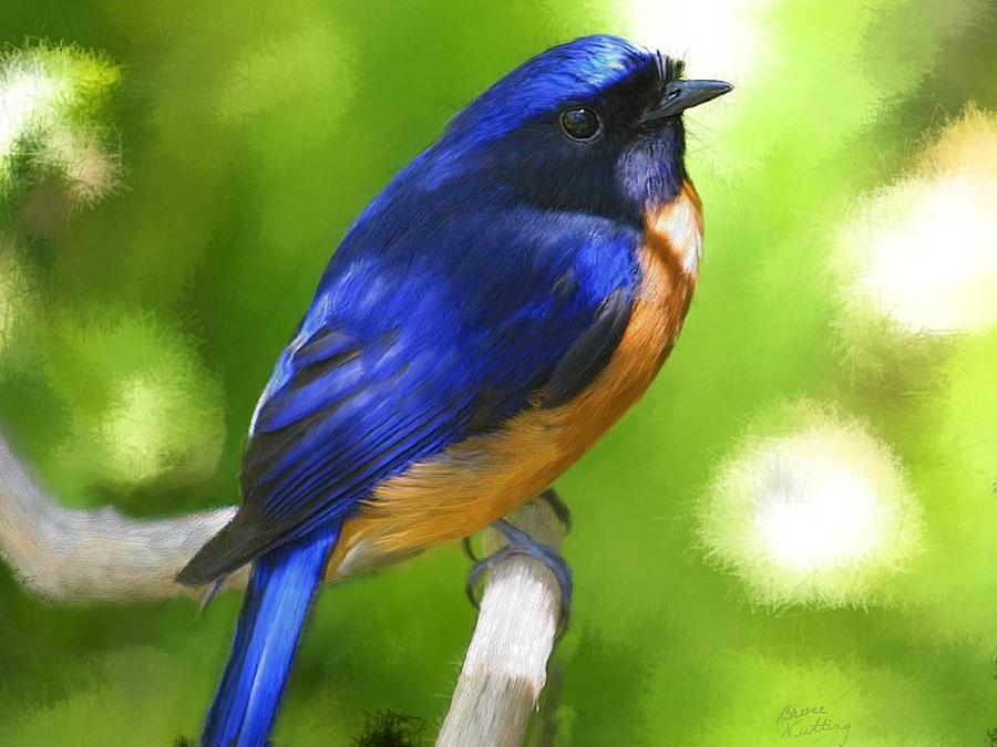 Naturally Pretty Bird Painting by Bruce Nutting