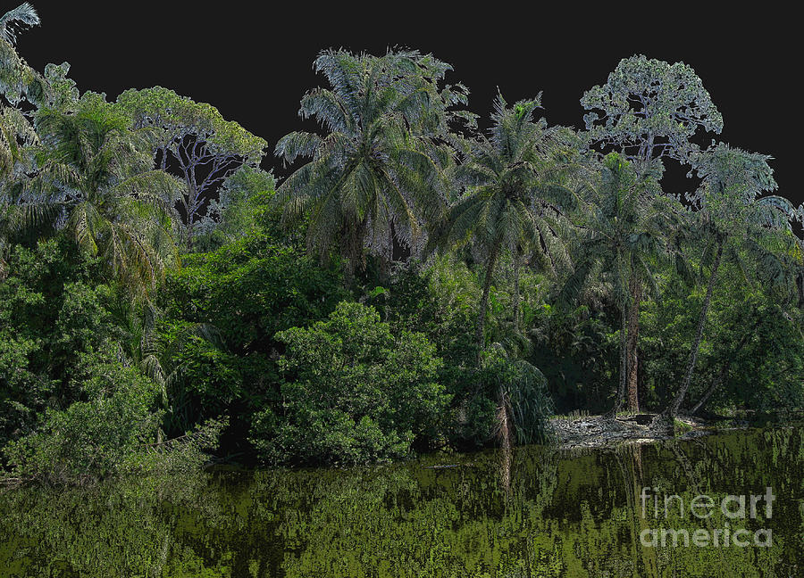 Green Black Palm Tree Digital Art by Oksana Semenchenko