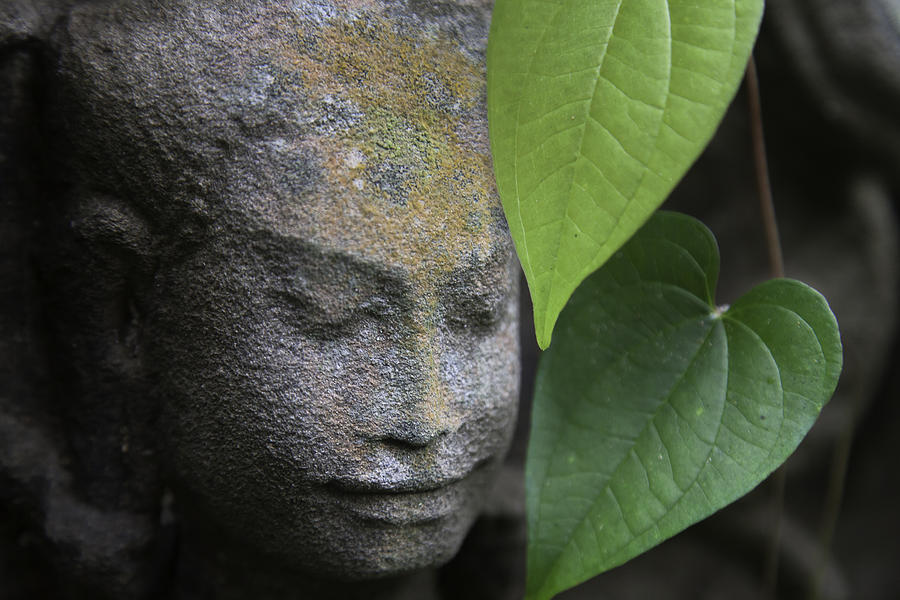 Nature Cambodia Siem Reap 03 by Sentio Photography Nature Cambodia Siem Reap 03 by Sentio Photography