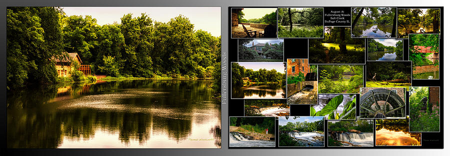 Nature Center 01 Collage Fullersburg Woods 2 Panel Photograph by Thomas Woolworth